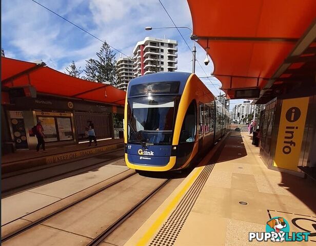16 12 Monte Carlo Avenue Surfers Paradise QLD 4217