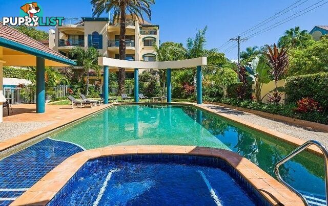 16 12 Monte Carlo Avenue Surfers Paradise QLD 4217