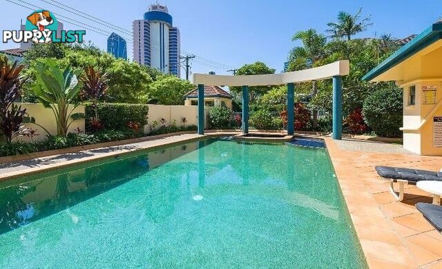 16 12 Monte Carlo Avenue Surfers Paradise QLD 4217