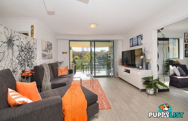 16 12 Monte Carlo Avenue Surfers Paradise QLD 4217