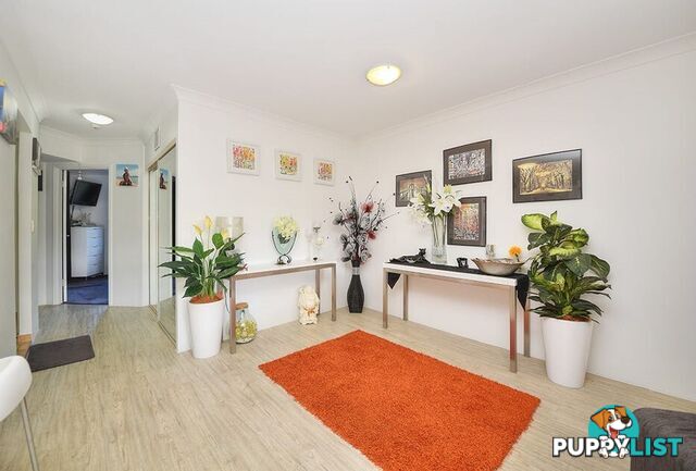 16 12 Monte Carlo Avenue Surfers Paradise QLD 4217