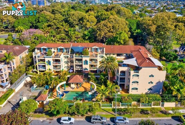 16 12 Monte Carlo Avenue Surfers Paradise QLD 4217