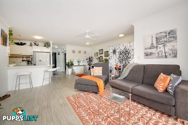 16 12 Monte Carlo Avenue Surfers Paradise QLD 4217