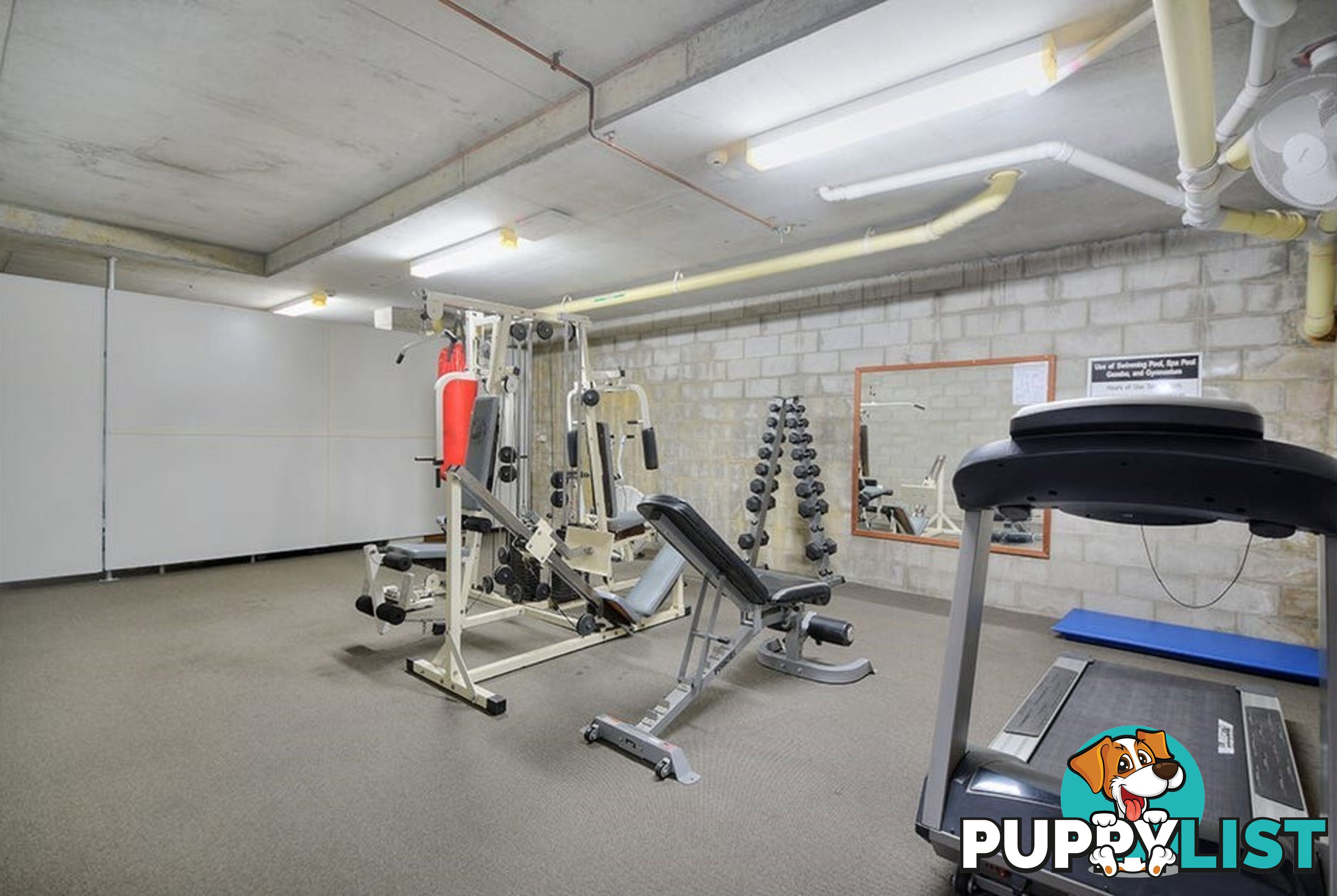 16 12 Monte Carlo Avenue Surfers Paradise QLD 4217