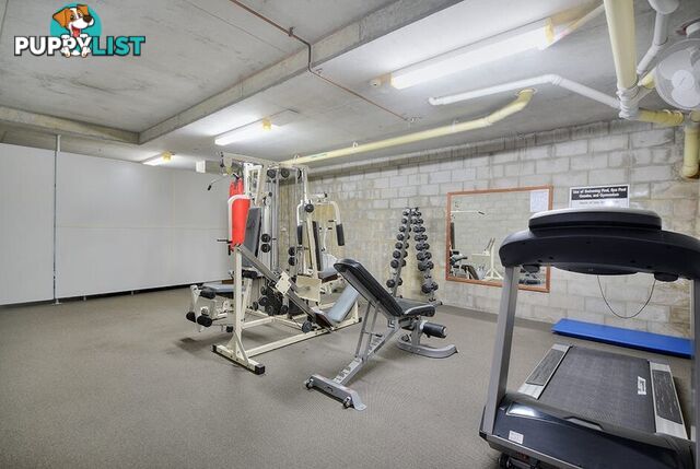 16 12 Monte Carlo Avenue Surfers Paradise QLD 4217