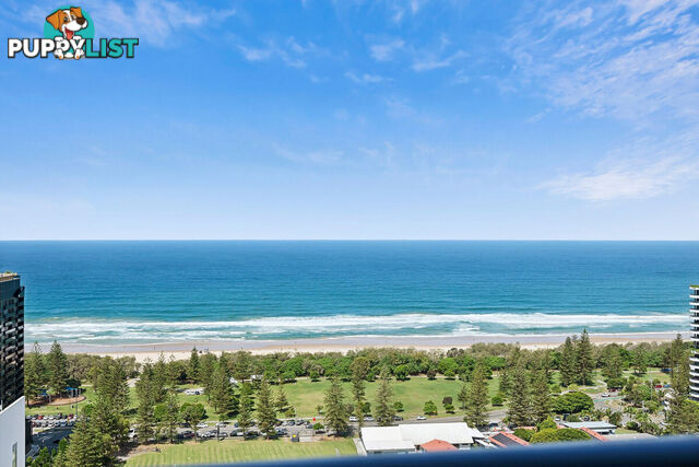 2904 22 Surf Parade BROADBEACH QLD 4218