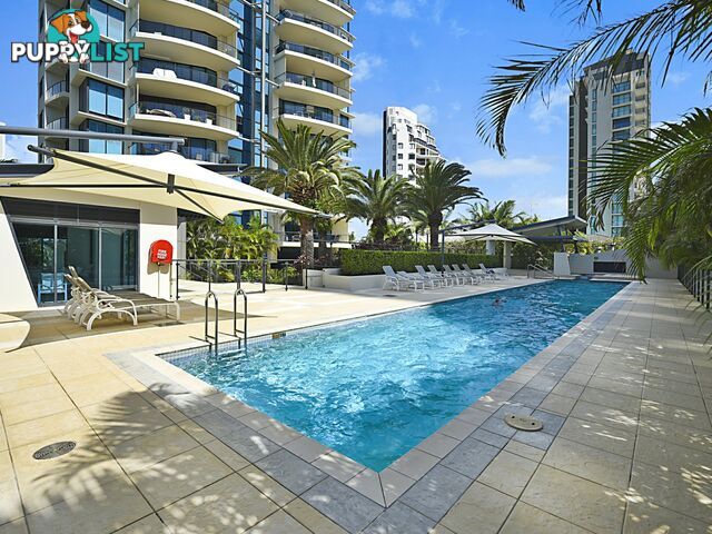 32/11 Peak Avenue MAIN BEACH QLD 4217