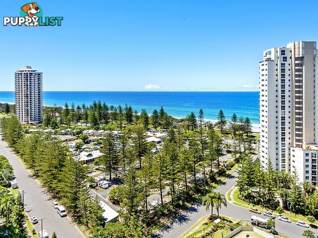 32/11 Peak Avenue MAIN BEACH QLD 4217