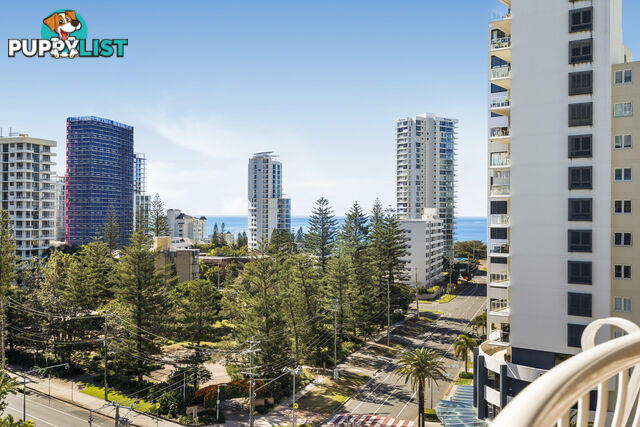 2907 24-26 Queensland Avenue Broadbeach QLD 4218
