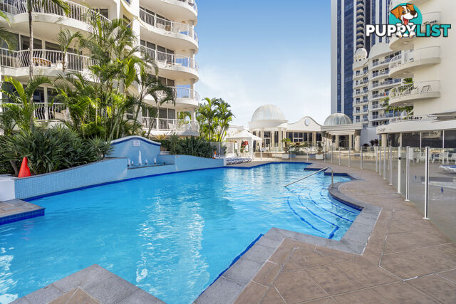 2907 24-26 Queensland Avenue Broadbeach QLD 4218