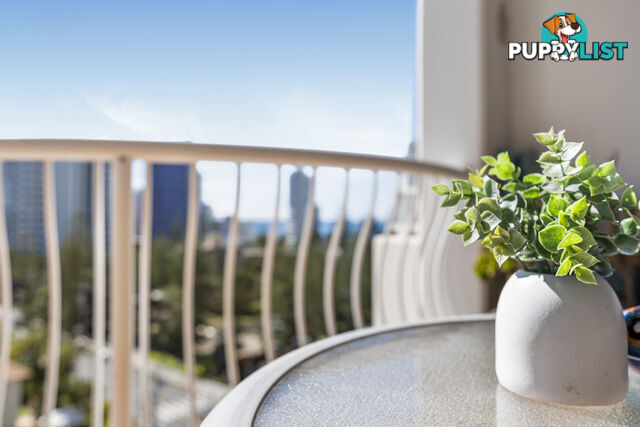 2907 24-26 Queensland Avenue Broadbeach QLD 4218