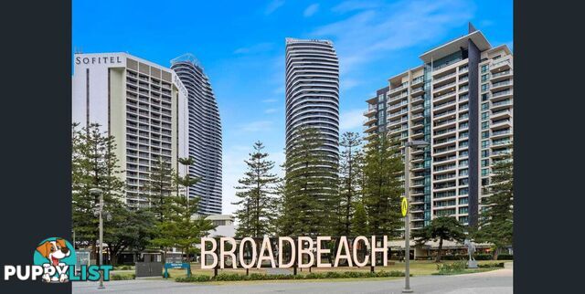 6 21 First Avenue Surfers Paradise QLD 4217