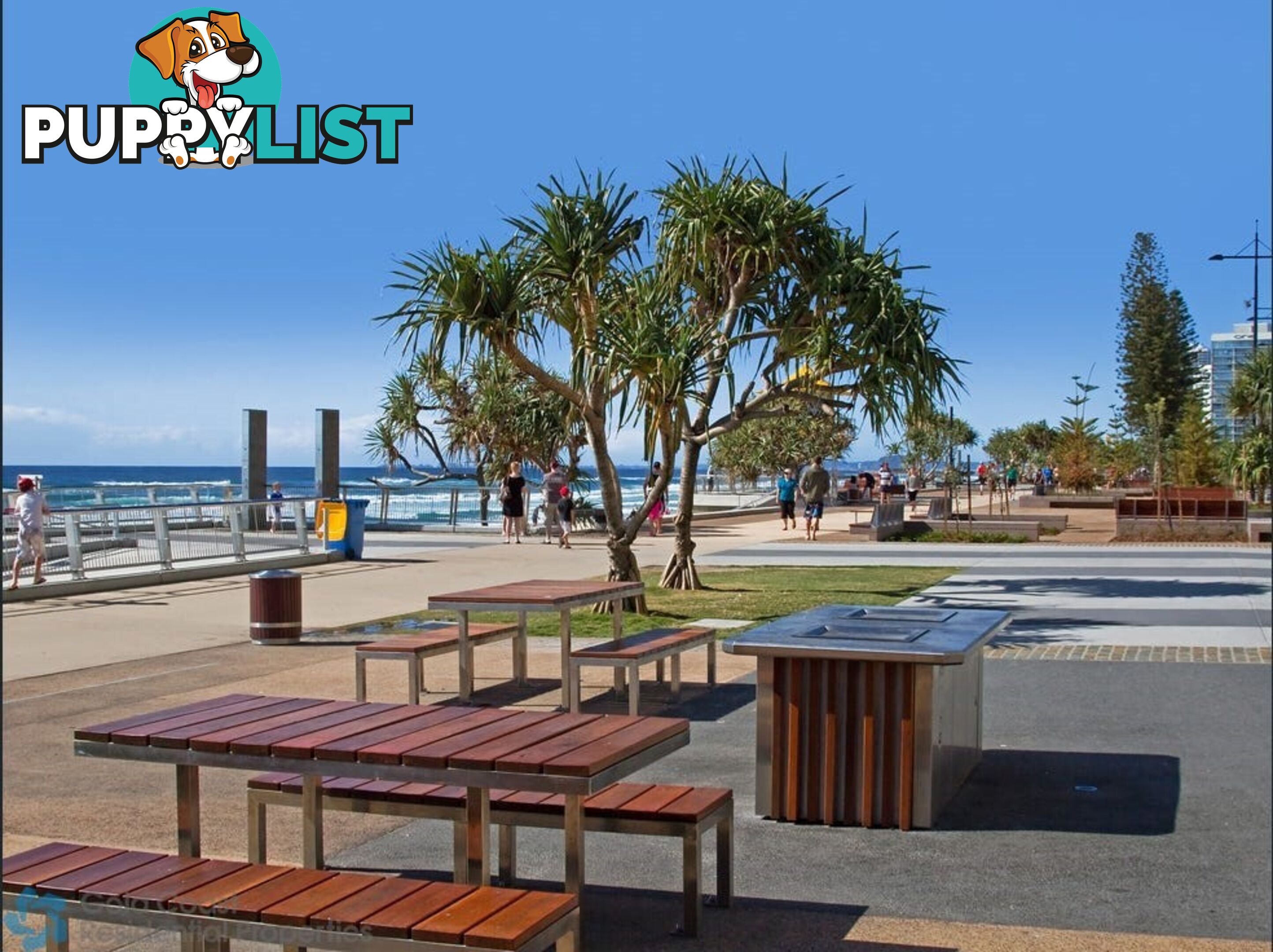 6 21 First Avenue Surfers Paradise QLD 4217