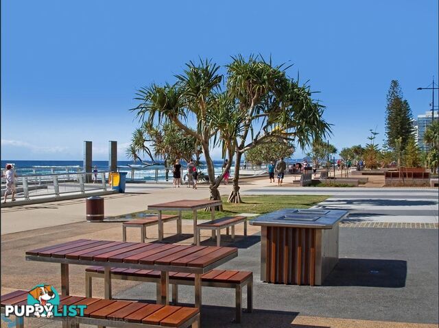 6 21 First Avenue Surfers Paradise QLD 4217