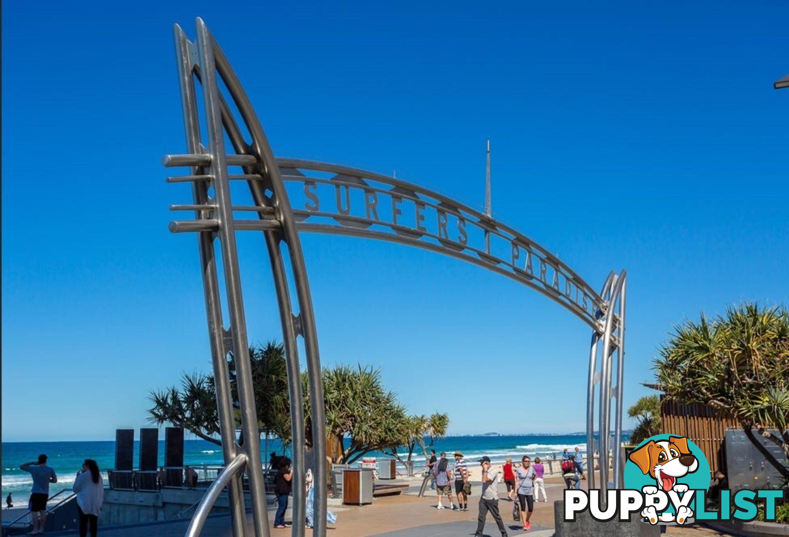 6 21 First Avenue Surfers Paradise QLD 4217