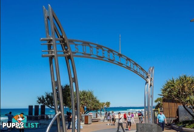 6 21 First Avenue Surfers Paradise QLD 4217
