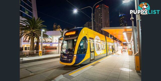 6 21 First Avenue Surfers Paradise QLD 4217