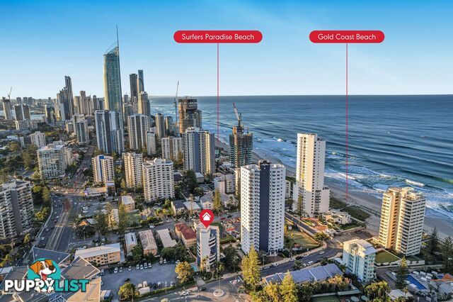 2 19 Fern Street Surfers Paradise QLD 4217