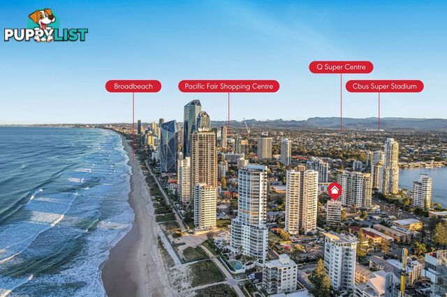 2 19 Fern Street Surfers Paradise QLD 4217