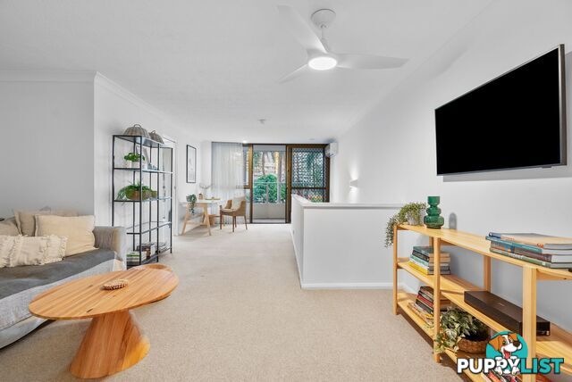 2 19 Fern Street Surfers Paradise QLD 4217