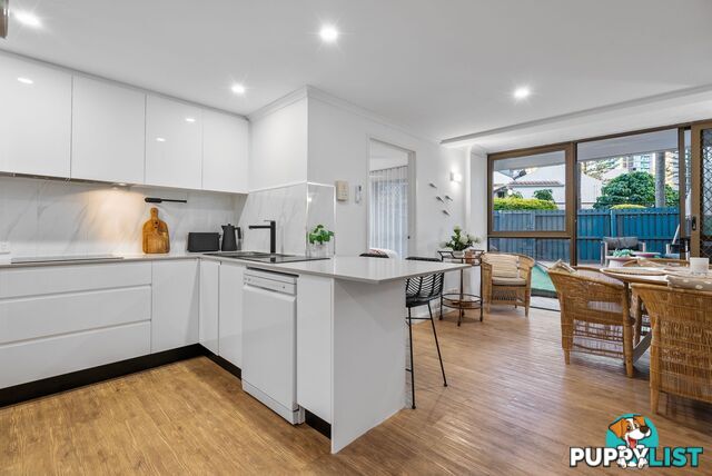 2 19 Fern Street Surfers Paradise QLD 4217