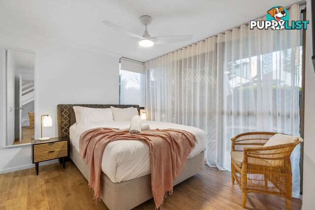 2 19 Fern Street Surfers Paradise QLD 4217