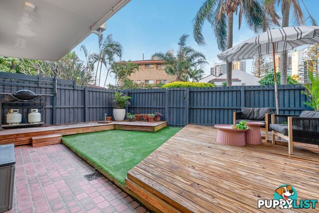 2 19 Fern Street Surfers Paradise QLD 4217