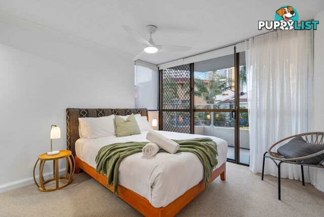 2 19 Fern Street Surfers Paradise QLD 4217