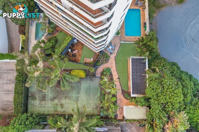 2 19 Fern Street Surfers Paradise QLD 4217