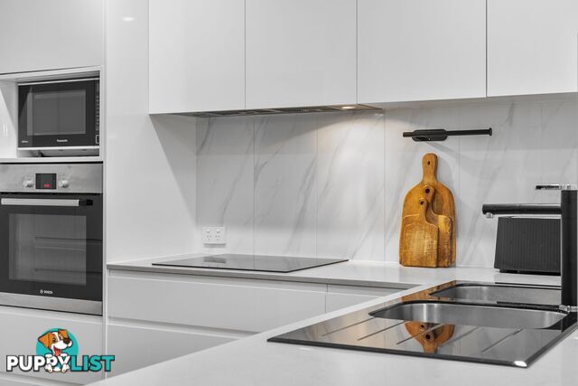 2 19 Fern Street Surfers Paradise QLD 4217