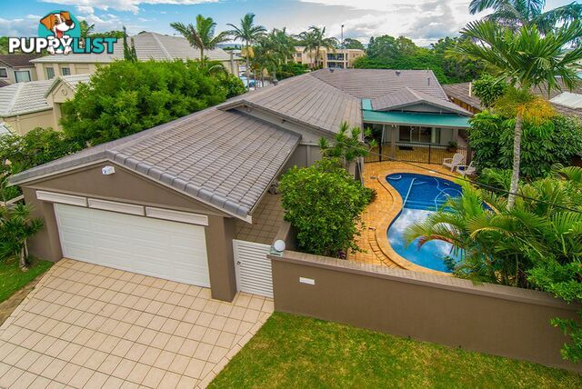 86 Gibraltar Drive ISLE OF CAPRI QLD 4217