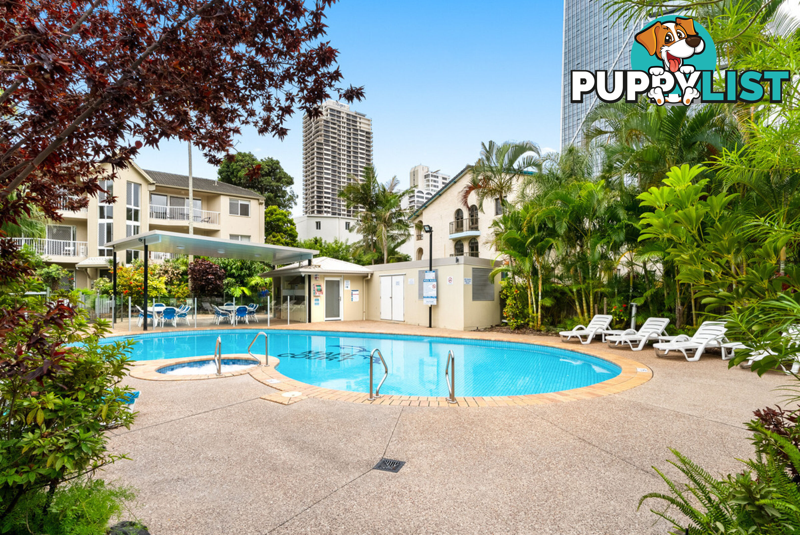 21 23 Wharf Road Surfers Paradise QLD 4217