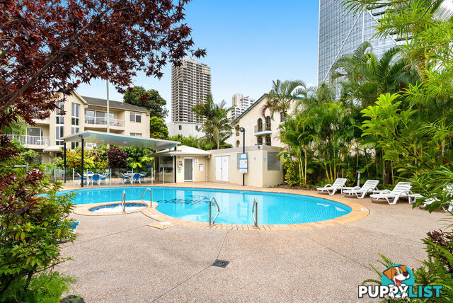 21 23 Wharf Road Surfers Paradise QLD 4217