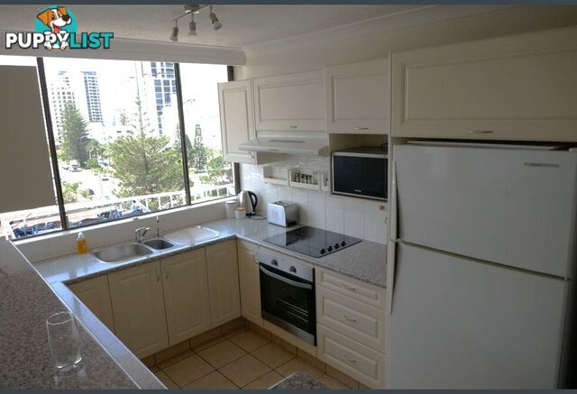 26 5 Queensland Avenue Broadbeach QLD 4218