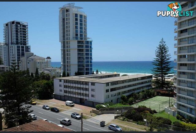 26 5 Queensland Avenue Broadbeach QLD 4218