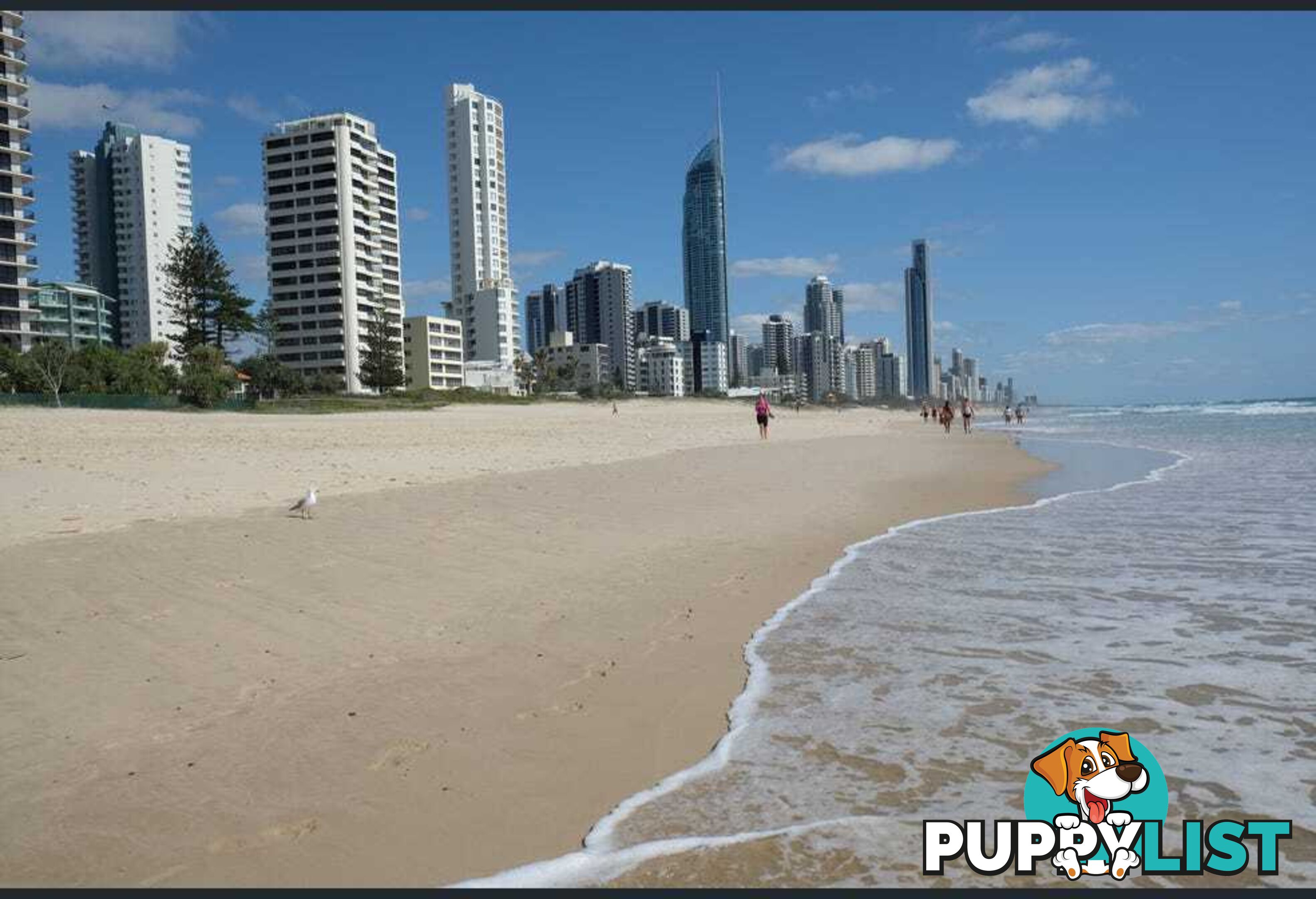 26 5 Queensland Avenue Broadbeach QLD 4218