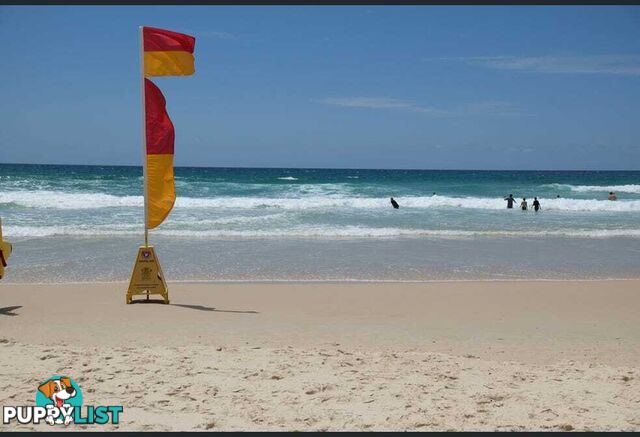 26 5 Queensland Avenue Broadbeach QLD 4218