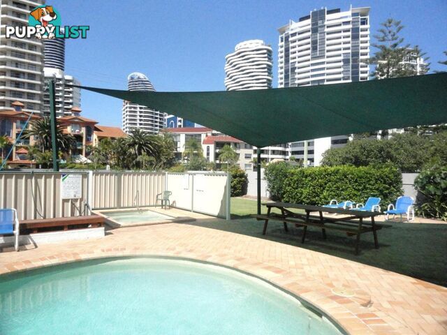 26 5 Queensland Avenue Broadbeach QLD 4218