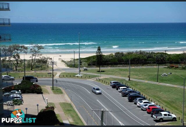 26 5 Queensland Avenue Broadbeach QLD 4218