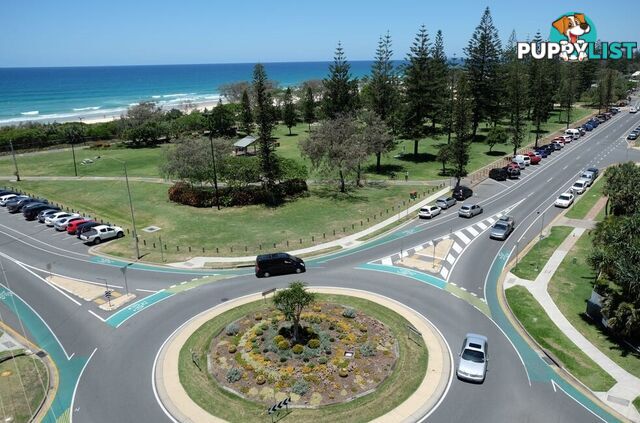 26 5 Queensland Avenue Broadbeach QLD 4218