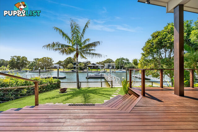 5 Livistona Crt South Stradbroke QLD 4216