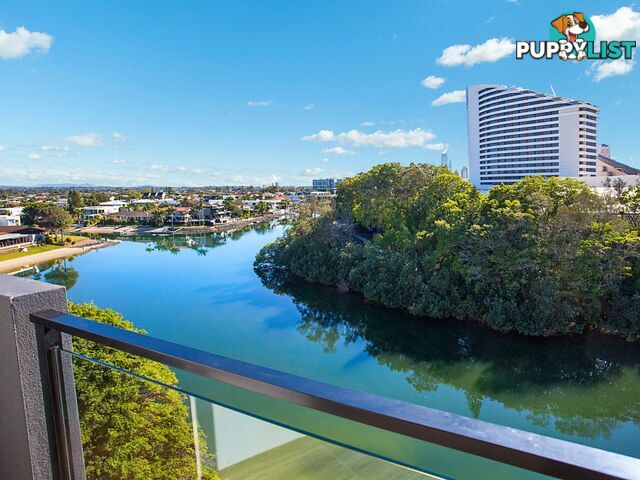 BROADBEACH WATERS QLD 4218