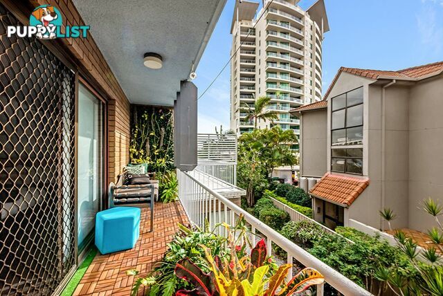 11/11 Old Burleigh Road SURFERS PARADISE QLD 4217