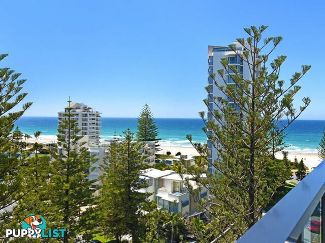 502 95 Old Burleigh Road Broadbeach QLD 4218