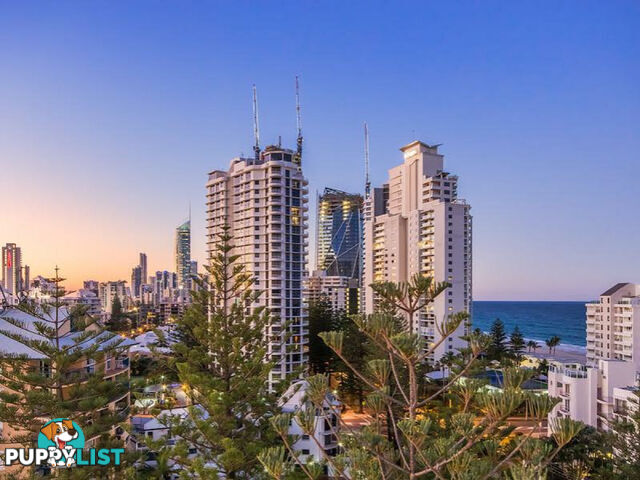 502 95 Old Burleigh Road Broadbeach QLD 4218