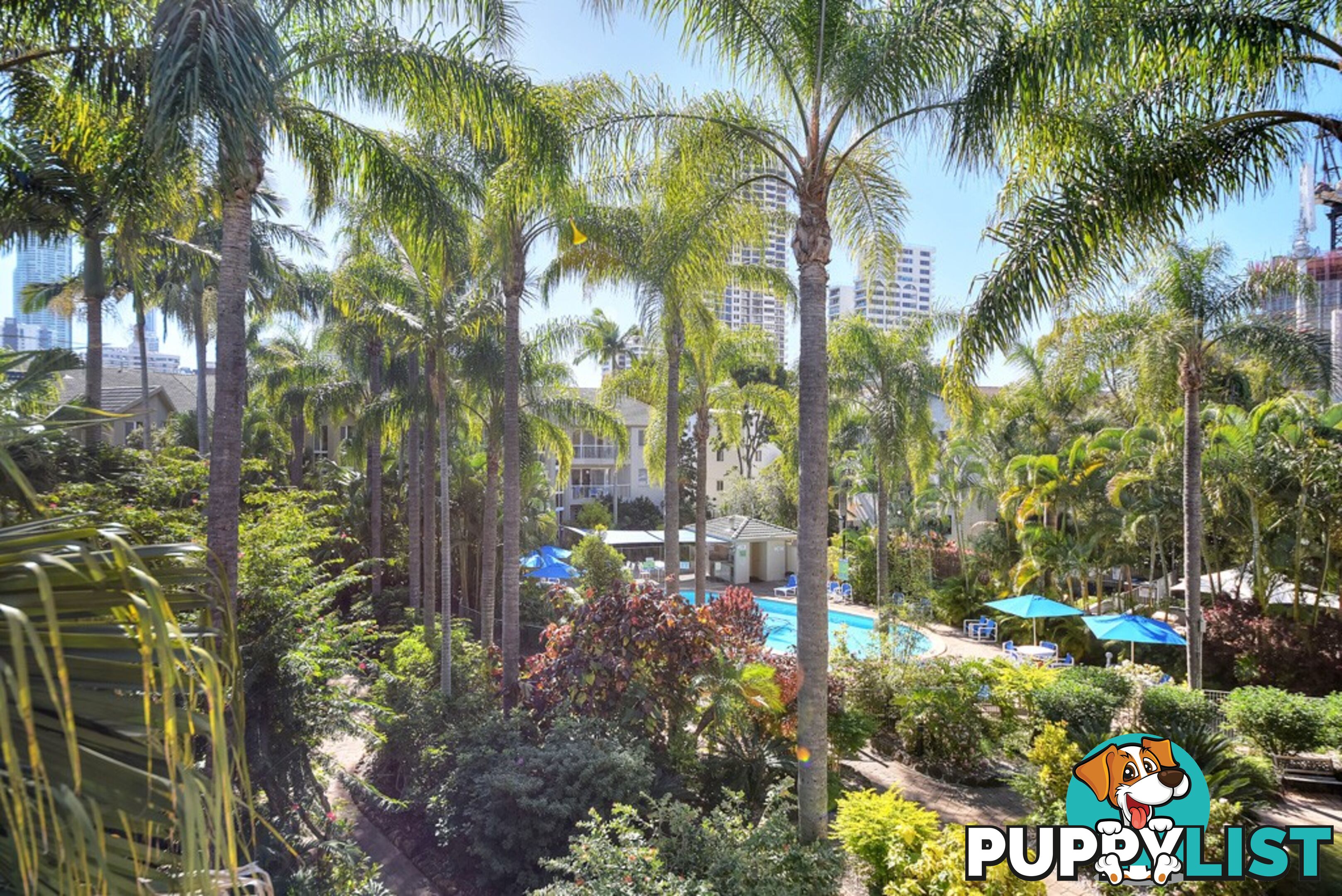 43/23 Wharf Road SURFERS PARADISE QLD 4217