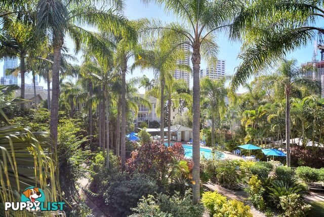 43/23 Wharf Road SURFERS PARADISE QLD 4217