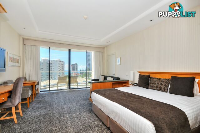 502/2801-2833 Gold Coast Highway SURFERS PARADISE QLD 4217