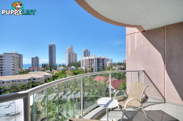 502/2801-2833 Gold Coast Highway SURFERS PARADISE QLD 4217