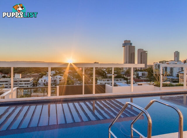 704 95 Old Burleigh Road Broadbeach QLD 4218